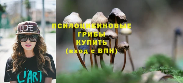 а пвп мука Покачи