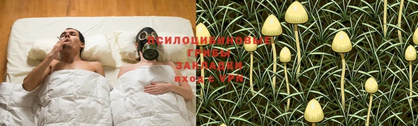 молекула духа Покровск