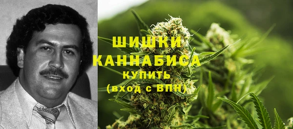 молекула духа Покровск