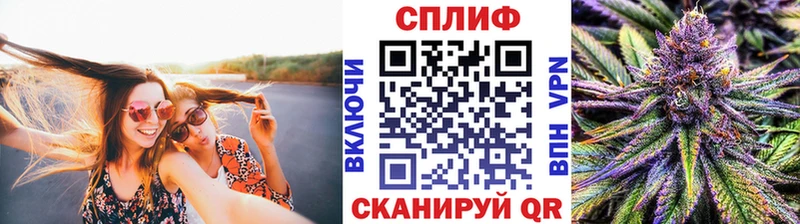 Купить где  Кашин  МАРИХУАНА планчик 
